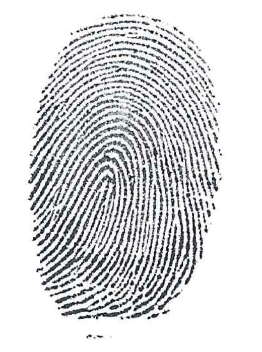 fingerprint1